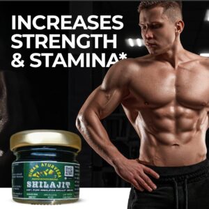 Himalayan Shilajit Resin - Premium Quality (20 g)