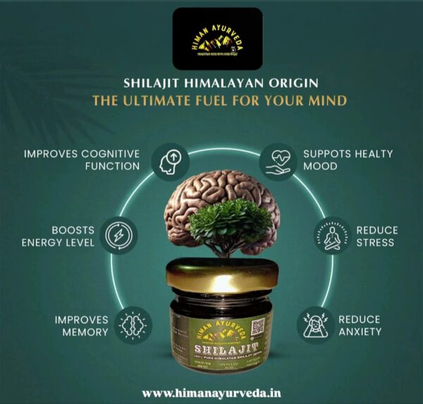 Shilajit Gold Resin - Image 2